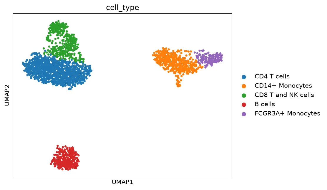 UMAP colored by the final cell type labels. The CD4 T cells hold the largest region, the monocytes split into two neighboring groups, and the merged CD8 T and NK population holds its own arm.