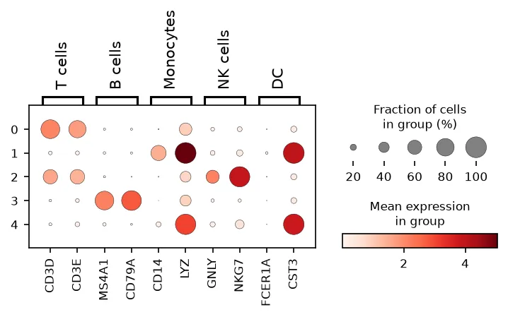 Dot plot of marker genes per Leiden cluster. Each cluster shows one strong marker row, and the DC markers stay weak everywhere except the smallest cluster.