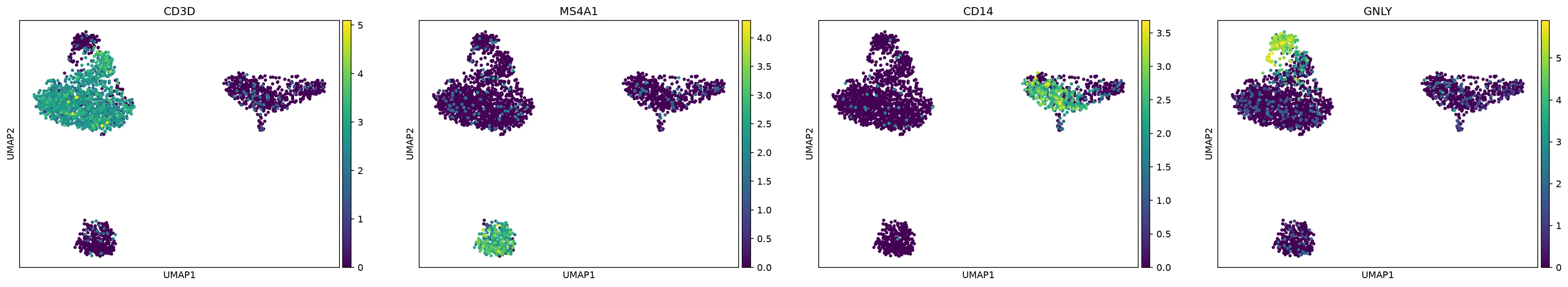 UMAP colored by four marker genes. CD3D marks the T cell arm, MS4A1 a tight B cell cluster, CD14 the monocyte region and GNLY the NK cells.