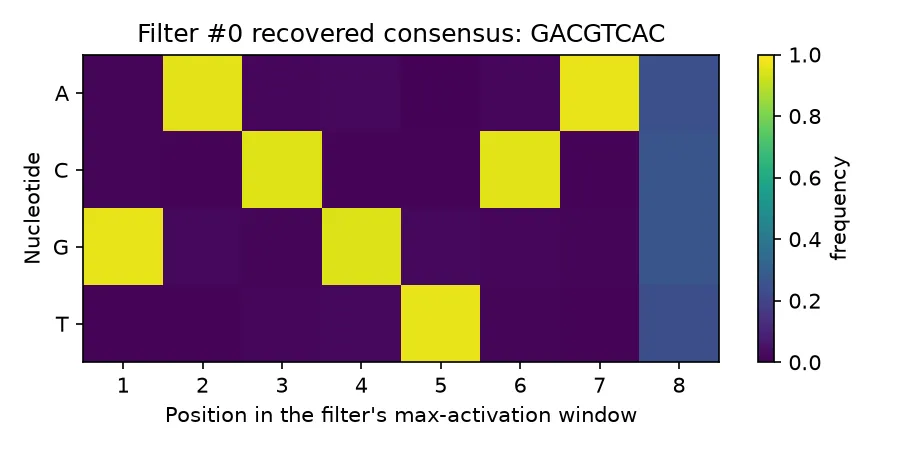 Position frequency matrix showing bright cells spelling GACGTCA