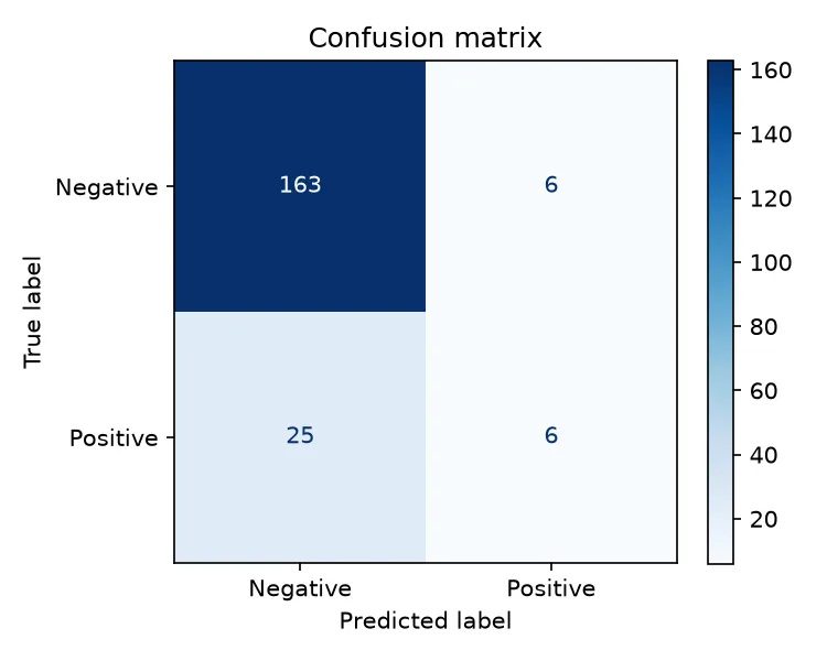 Confusion matrix: 163 true negatives, 6 false positives, 25 false negatives, 6 true positives