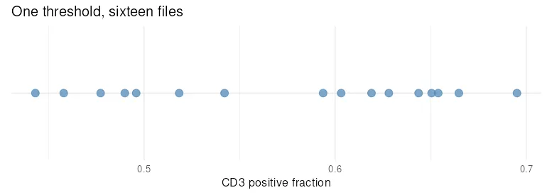 The CD3 positive fraction for each of the sixteen files under one common threshold, plotted on a single axis. The values spread from about 0.44 to about 0.70.