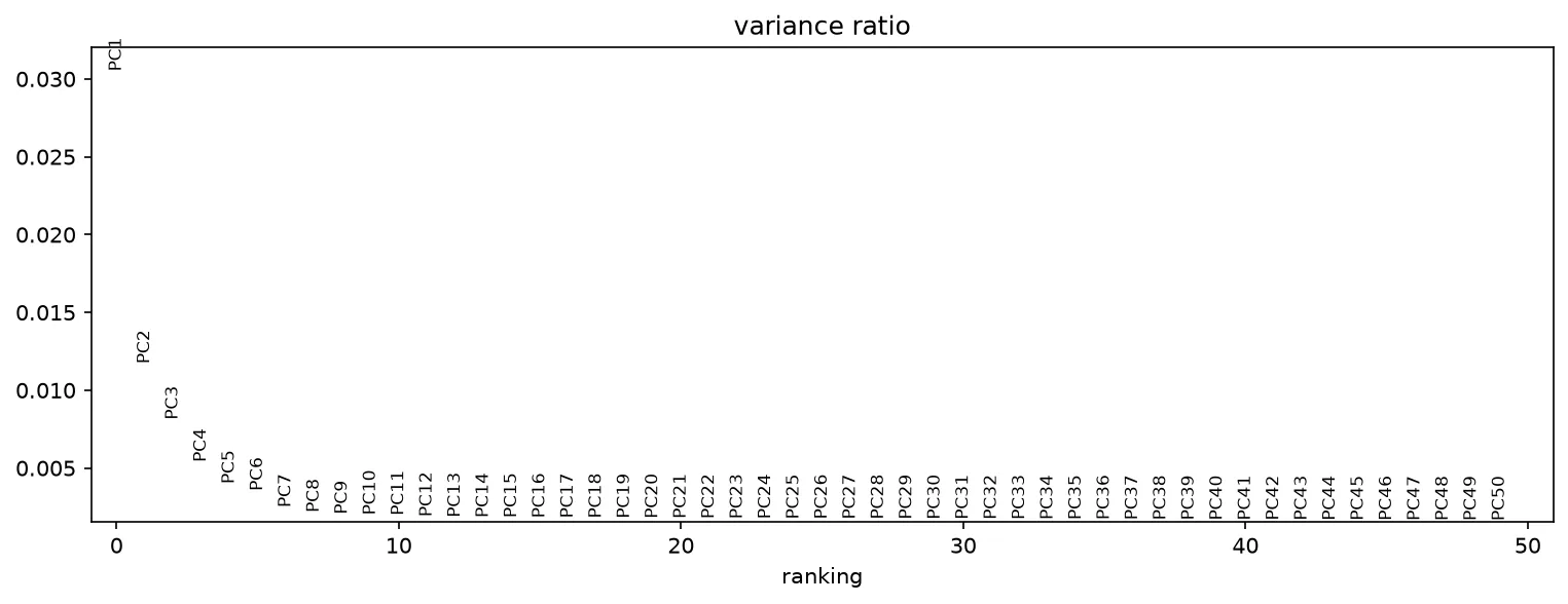 Variance ratio per principal component. The curve falls steeply through the first ten components and flattens after about thirty, which is where the section cuts the embedding for the neighbor graph.