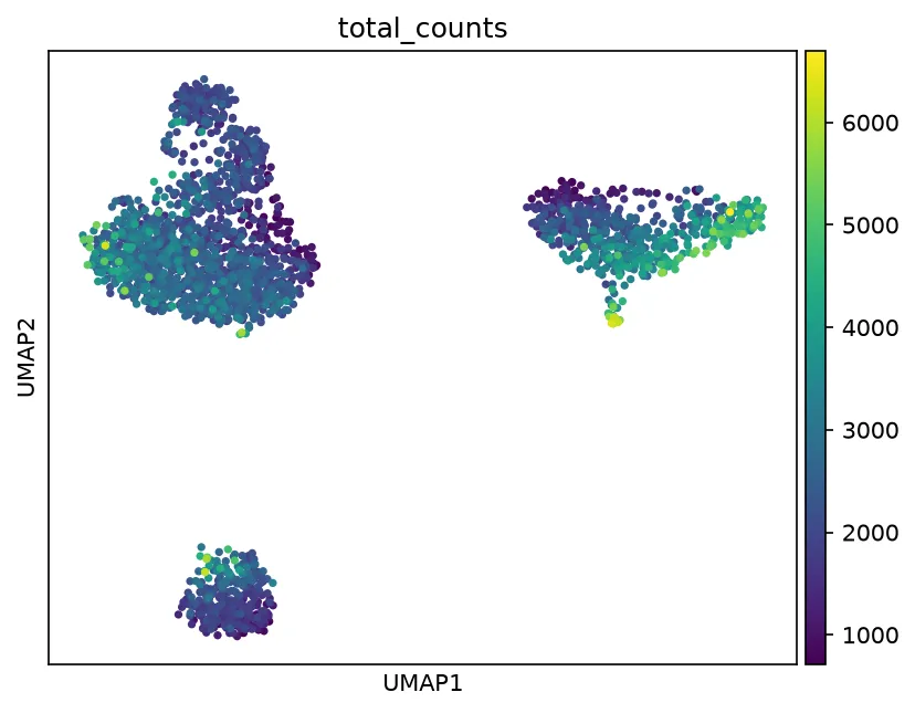 UMAP embedding colored by total counts. The graph splits into several arms, each arm a candidate population, with depth varying inside every arm.