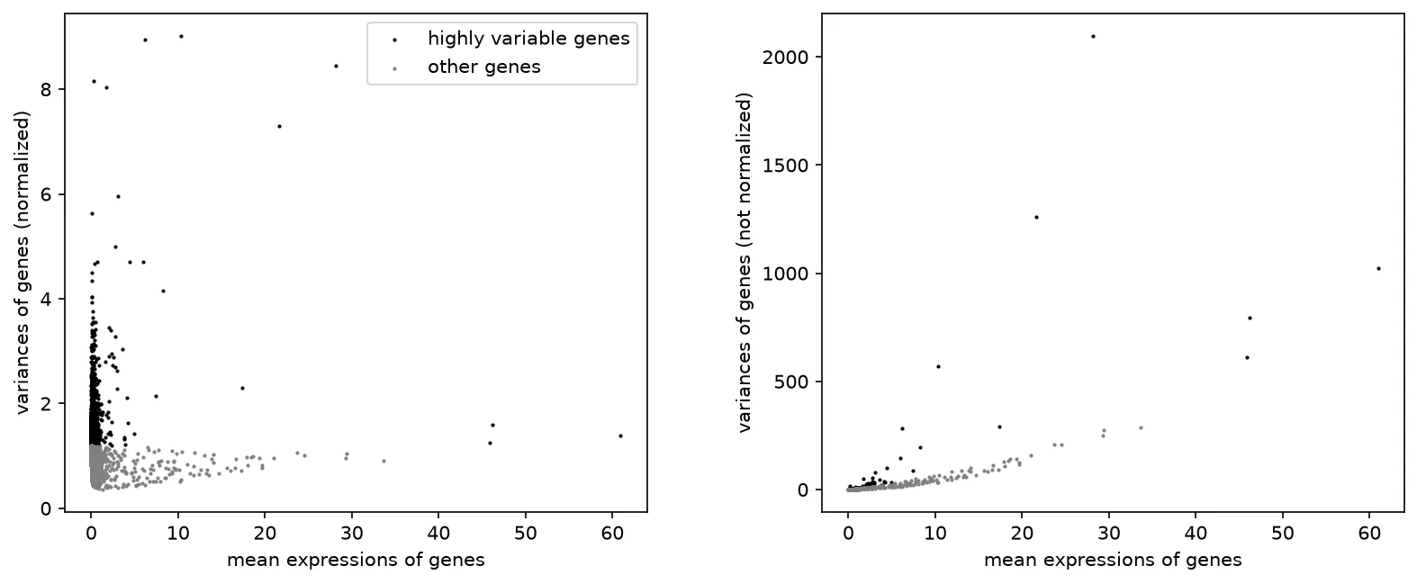 Highly variable genes on the mean-variance plane. The 2,000 selected genes sit on the upper edge of the cloud, where variance exceeds what the mean alone predicts.