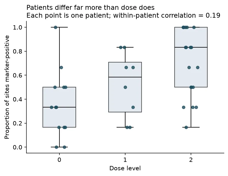 Per-patient positive rates by dose level, spread across the full range within every level (Python)