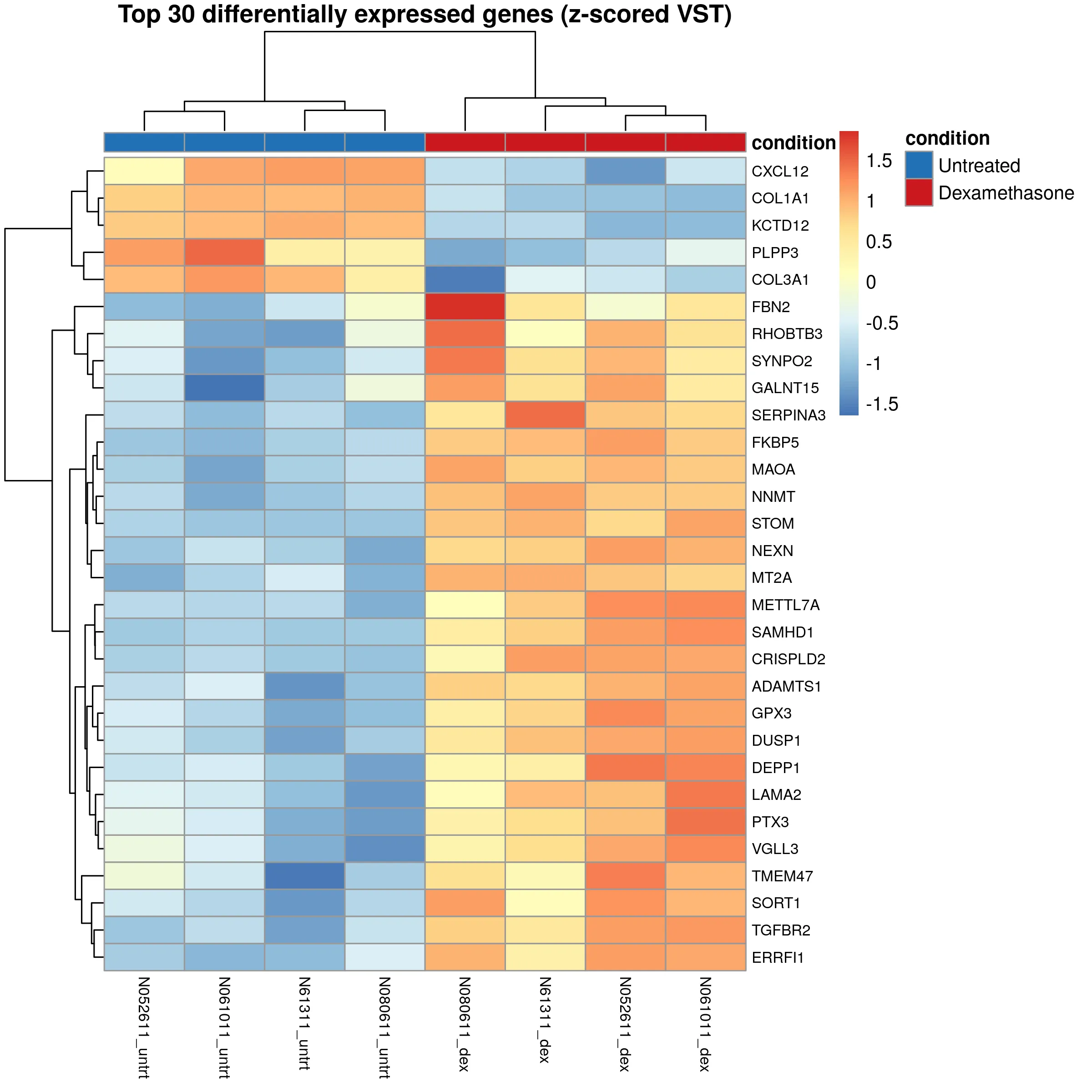 Heatmap of top 30 differentially expressed genes showing z-scored VST values across all 8 samples.