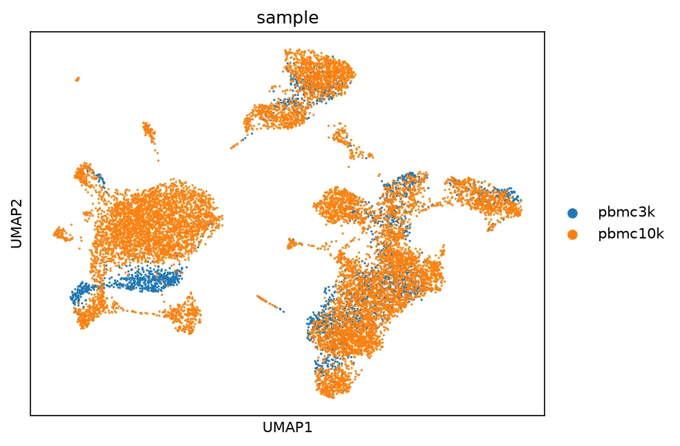UMAP of the scVI latent colored by dataset. The batches interleave across the embedding, with both datasets contributing cells to every arm.