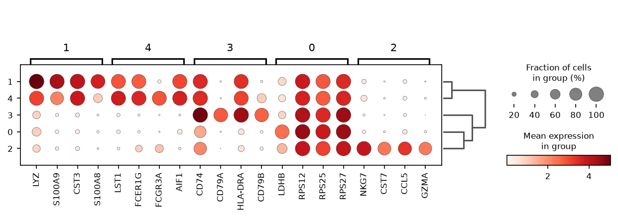 Dot plot of the top four marker genes per cluster. Every cluster carries its own strong markers and near-zero expression elsewhere, which is what makes the labels stick.