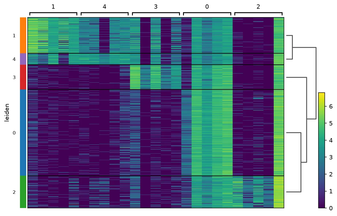 Heatmap of the top five marker genes per cluster. Blocks along the diagonal show each cluster expressing its own marker set and little else.