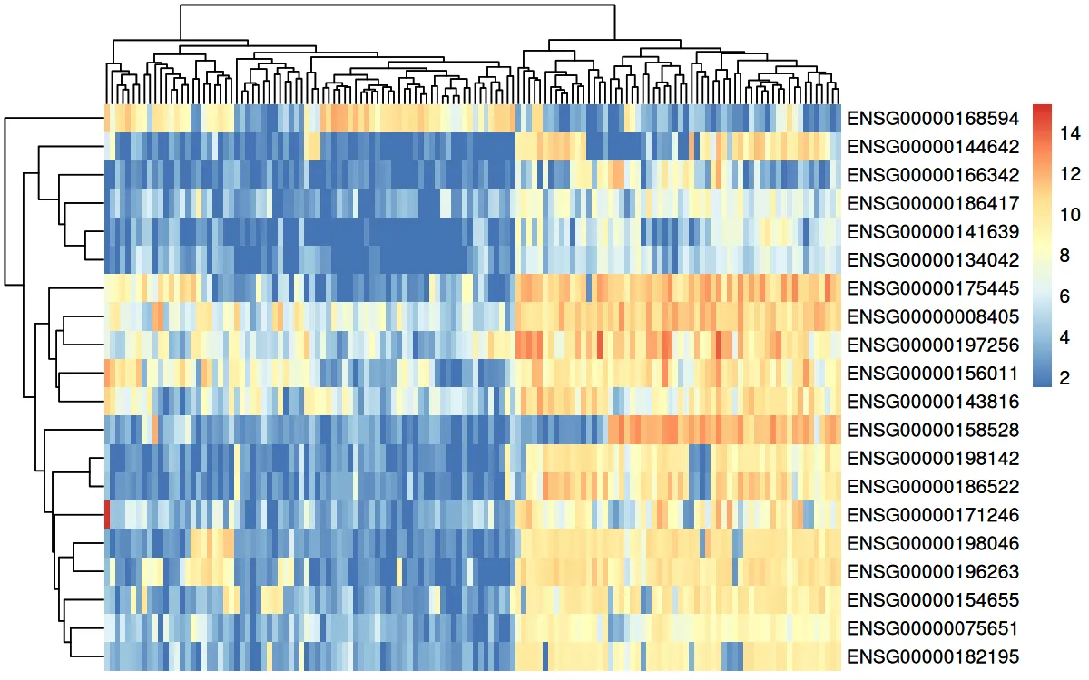 Data heatmap of the top mRNA features on Factor 1, samples ordered by factor value (R)