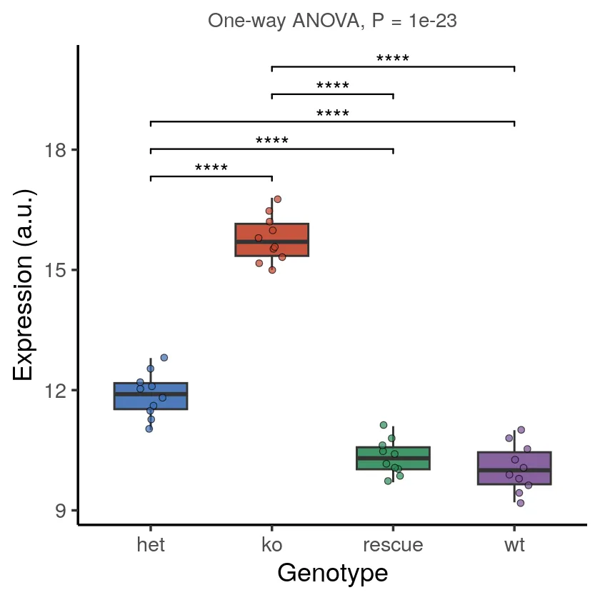 Expression across four genotypes, one-way ANOVA subtitle, five stacked Tukey brackets (R)