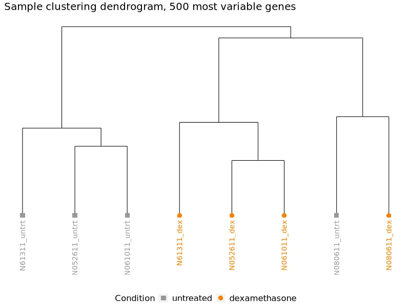 Pipeline-generated sample dendrogram showing hierarchical clustering.