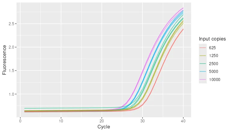 Amplification curves for the fifteen standard wells of the StepOne run. Each line is one well, coloured by input quantity from 625 to 10000 copies. The curves shift left as the input increases, so the highest input crosses the threshold first.