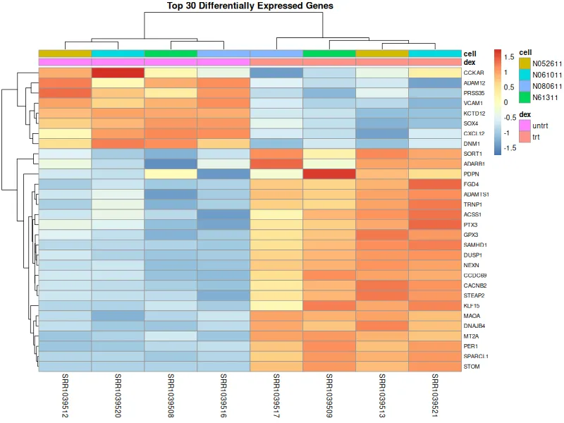Heatmap of the top 30 genes by adjusted p-value across the eight samples. The column dendrogram splits the four treated samples from the four untreated ones, and the rows separate into a block higher in untreated and a block higher in treated.