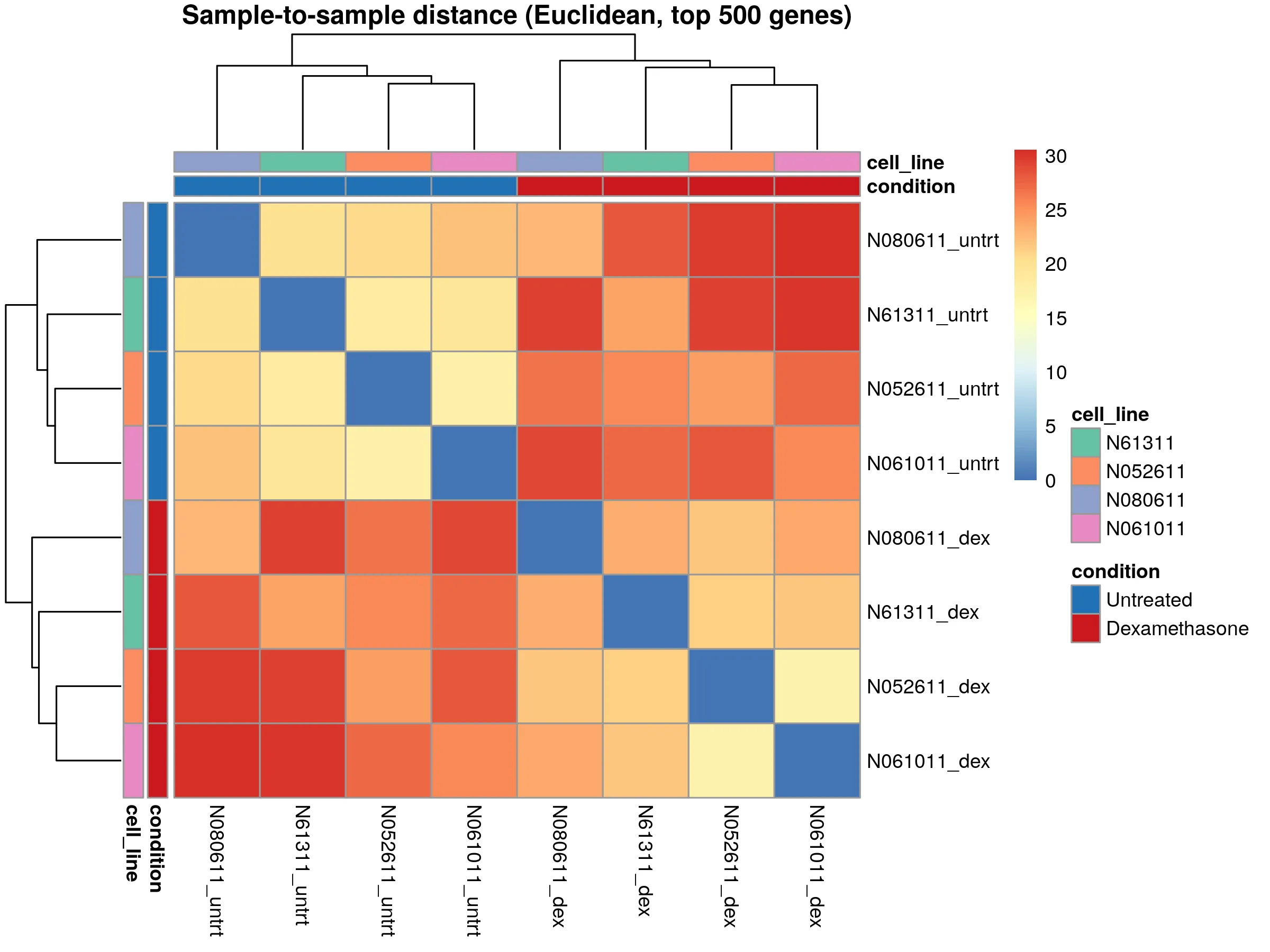 Sample-to-sample Euclidean distance heatmap. Paired samples from the same donor cluster together.