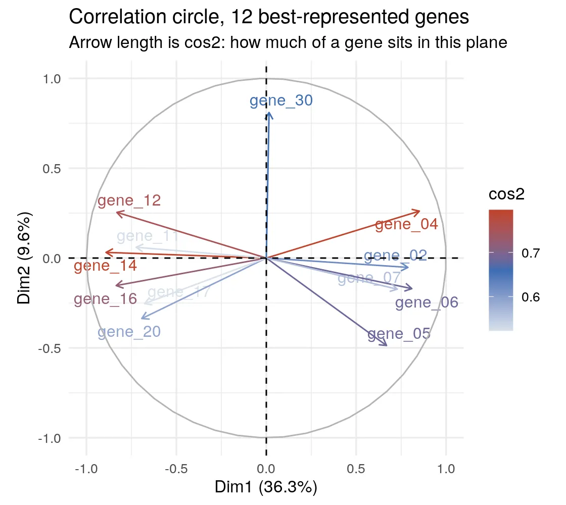 Correlation circle showing 12 gene arrows coloured by cos2, splitting left and right along PC1